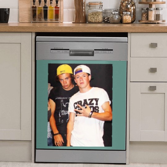 Discover Frat Narry Graphic Dish Washer Covers, Frat Boy Niall Dish Washer Covers, Harry And Niall Frat Boy Dish Washer Covers