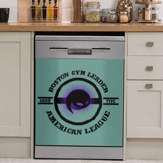 Discover Boston Gym Leader - Dish Washer Covers