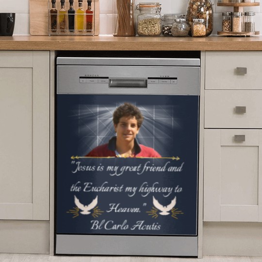 Discover Blessed Carlo Acutis Quote Dish Washer Covers Dish Washer Covers Perfect Dish Washer Covers