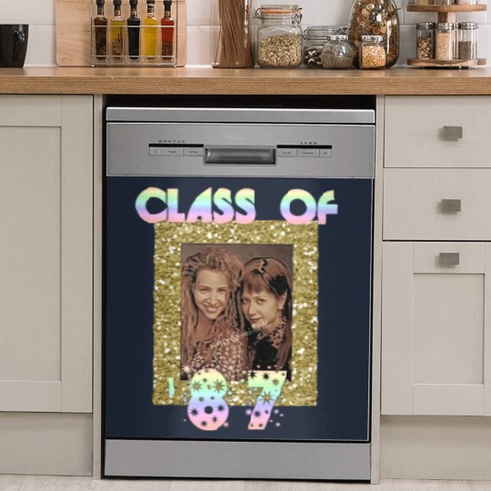Discover Romy and Michele yearbook photo - Romy And Micheles High School Reunion - Dish Washer Covers