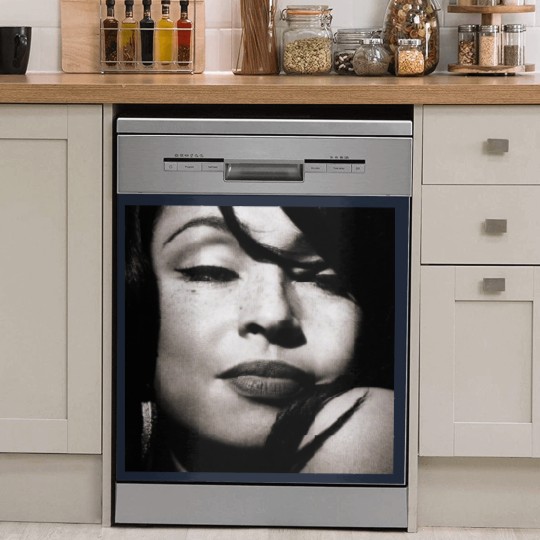 Discover Sade Adu Dish Washer Covers
