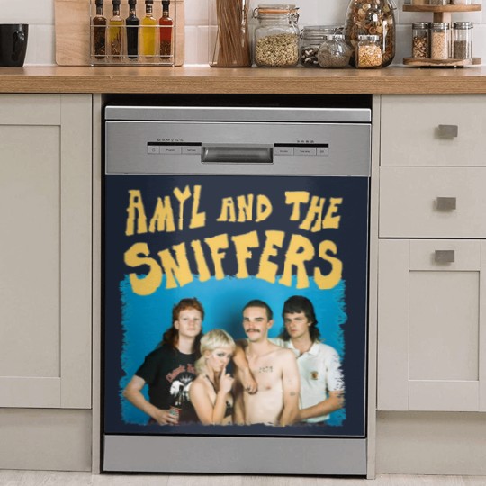 Discover Amyl And The Sniffers Band Dish Washer Covers