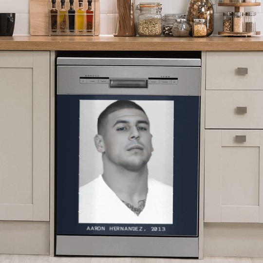 Discover Aaron Hernandez, 2013 Mugshot Dish Washer Covers