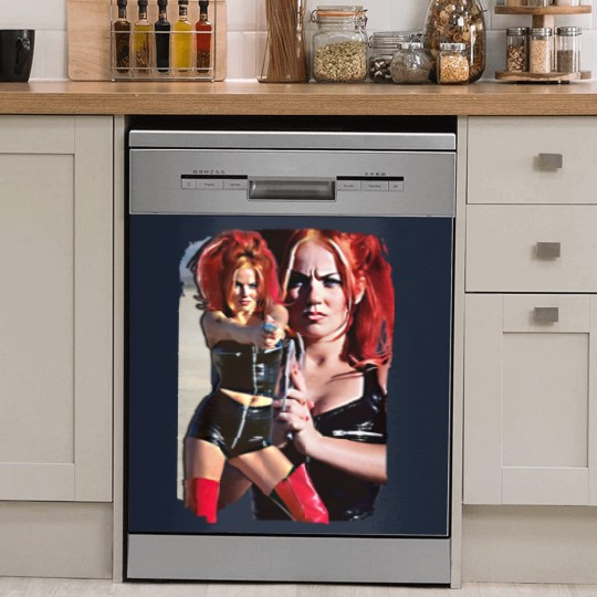 Discover Spice Girls - Geri Halliwell White Dish Washer Covers! 90's