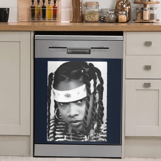 Discover Da Brat Dish Washer Covers, Rap Queen Dish Washer Covers, Old School Hip Hop Dish Washer Covers, 90's Hip Hop, Aesthetic Clothing, Unisex Cotton Dish Washer Covers