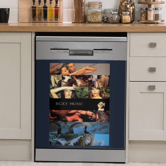 Discover Roxy Music Dish Washer Covers