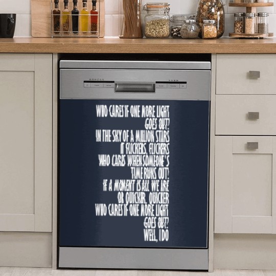 Discover One more light (2) Dish Washer Covers