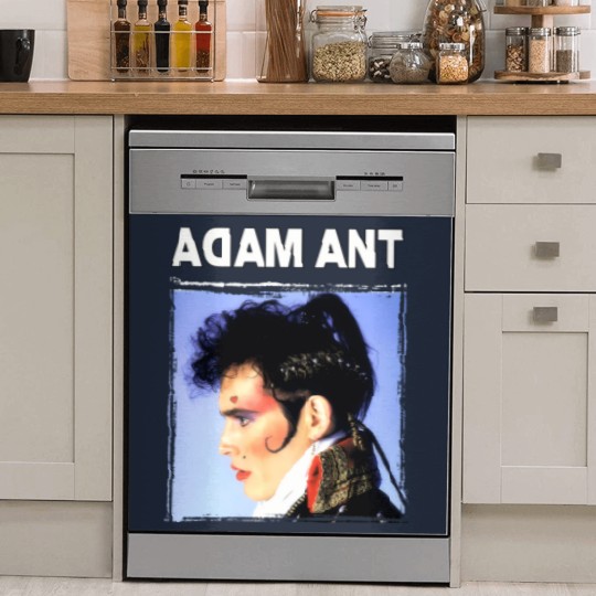 Discover Adam Ant Dish Washer Covers