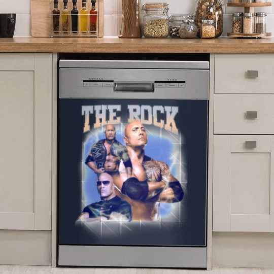 Discover the rock  41 Dish Washer Covers