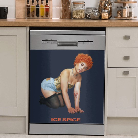 Discover Ice Spice Retro Dish Washer Covers, Ice Spice Dish Washer Covers, Ice Spice Merch