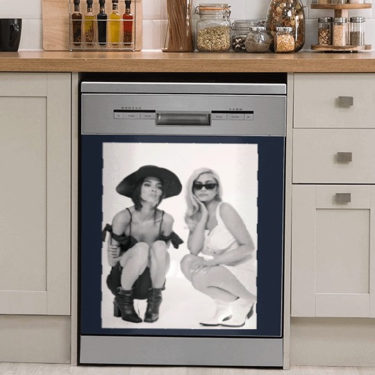 Discover Kylie Jenner Dish Washer Covers