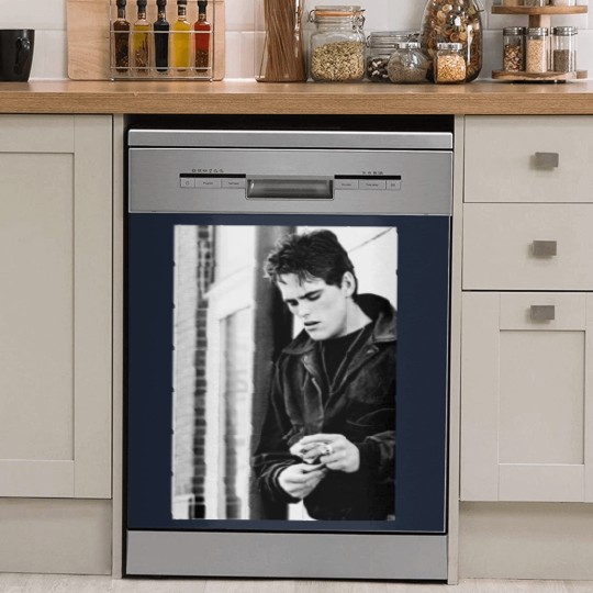 Discover The Outsiders Dish Washer Covers Dish Washer Covers Dish Washer Covers 825