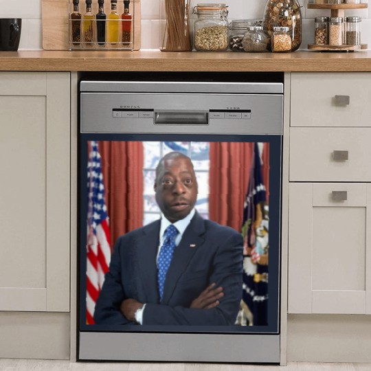 Discover Beetle Juice for president Dish Washer Covers