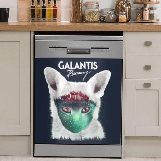 Discover runaway galantis Dish Washer Covers