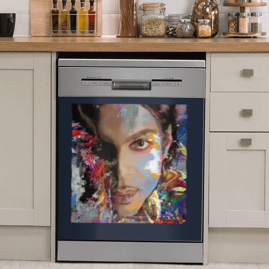 Discover Prince Rogers Nelson Dish Washer Covers