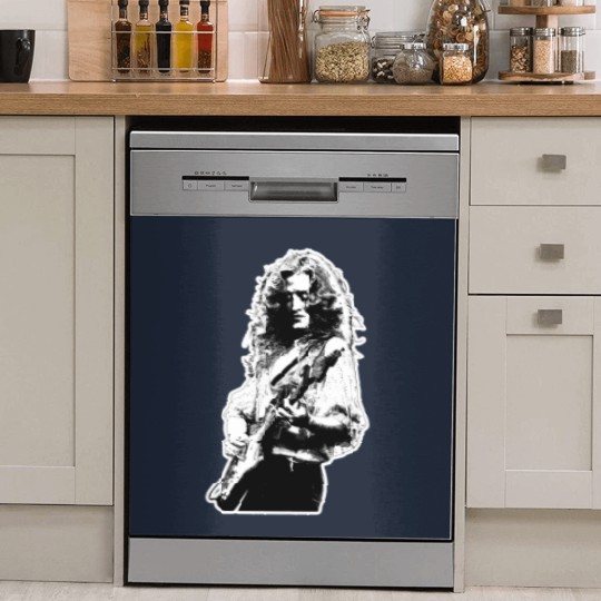 Discover Bonnie Raitt - Bonnie Raitt - Dish Washer Covers