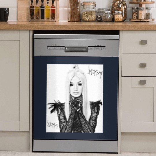 Discover Night of Poppy Dish Washer Covers