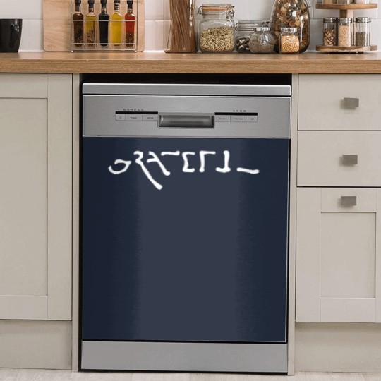 Discover egypt grateful Dish Washer Covers