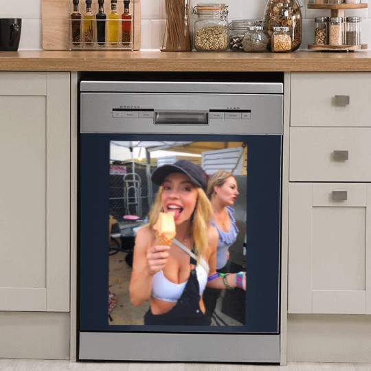Discover Sydney Sweeney Dish Washer Covers