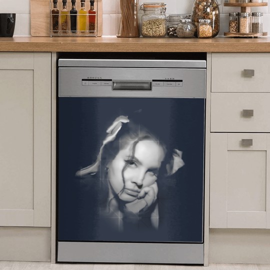 Discover 90s Lana Del Rey music Dish Washer Covers graphic Dish Washer Covers Charcoal Dish Washer Covers Men Women