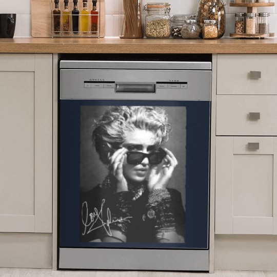 Discover Madonna 2024 Tour Dish Washer Covers, Madonna Fan Gift Dish Washer Covers