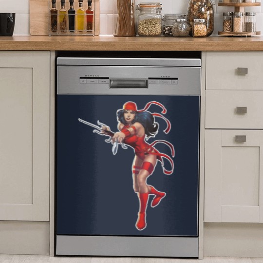 Discover Electra Motif Dish Washer Covers