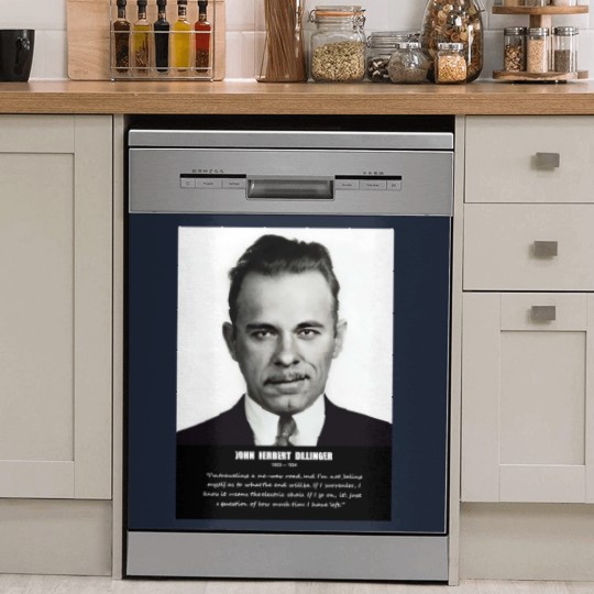 Discover JOHN DILLINGER Dish Washer Covers