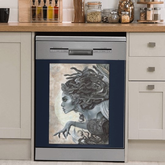 Discover Medusa Graphic Dish Washer Covers