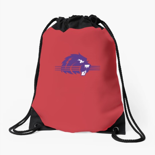 Discover College of Bluffton Beavers Athletic Drawstring Bags