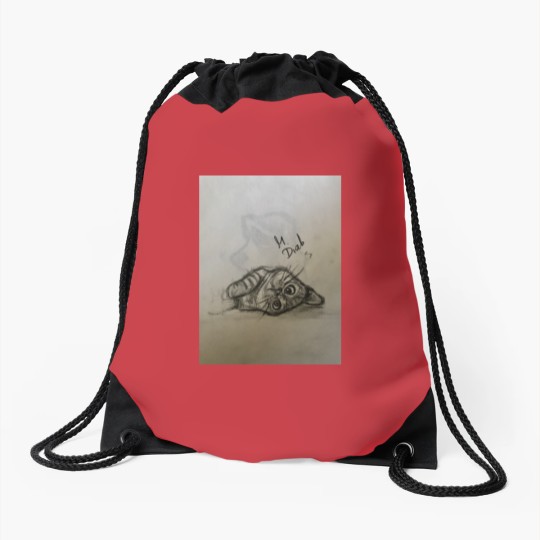 Discover Cat Refugee Drawstring Bags