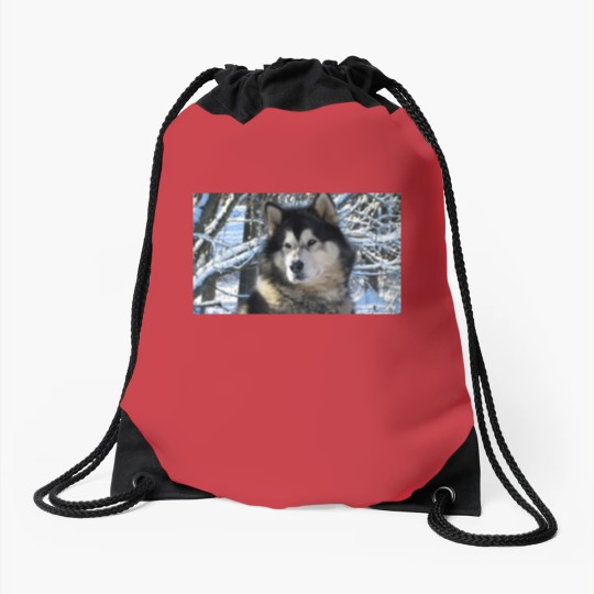 Discover Loup's first snowfall 2012 Drawstring Bags