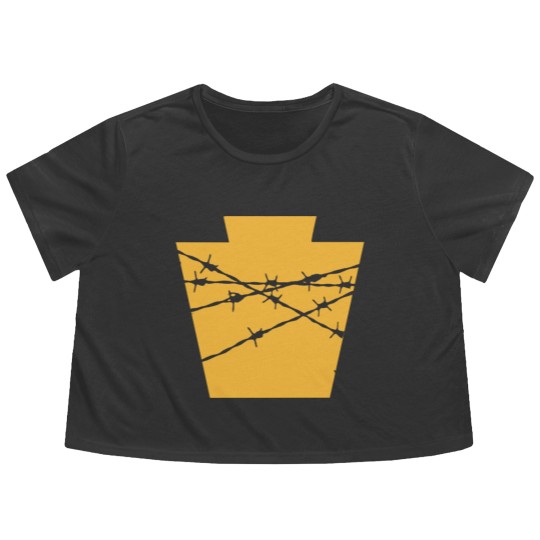 Discover Real Historical Philadelphia - Ec Arena - Philadelphia - Flowy Cropped Tees