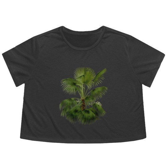 Discover Palm Tree Botanical Illustration Flowy Cropped Tees