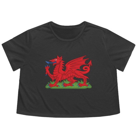Discover Wales Red Dragon National Flag Symbol Flowy Cropped Tees