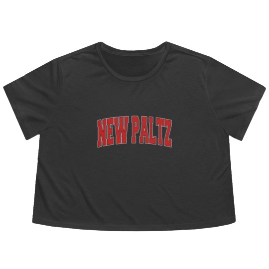 Discover New Paltz Ny New York Varsity Style Usa Vintage Sp Flowy Cropped Tees