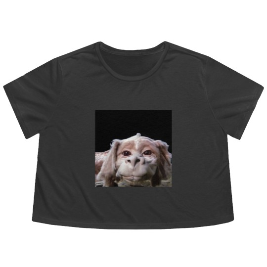 Discover Falkor The Luck Dragon From The Neverending Story Flowy Cropped Tees