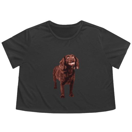 Discover Boykin Spaniel Flowy Cropped Tees Flowy Cropped Tees