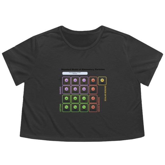 Discover Elementary Particles - Standard Model Flowy Cropped Tees