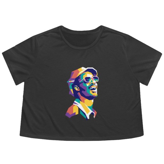 Discover Stevie Wonder WPAP Limit Color Flowy Cropped Tees