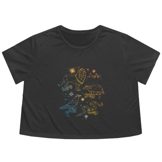 Discover Rainbow HOGWARTS™ Houses Constellations Flowy Cropped Tees