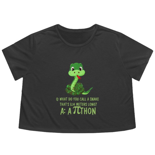 Discover Python Pithon Pi Symbol Happy Pi Day Flowy Cropped Tees Math