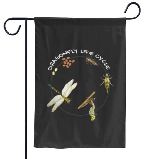 Discover Dragonfly Life Cycle Facts 3 Stages Insect Development Garden Flags