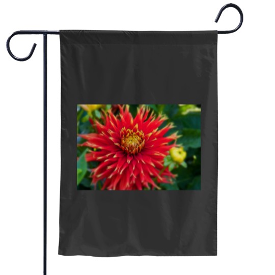 Discover Canada. Vancouver Island. Butchart Gardens. Flower. Garden Flags