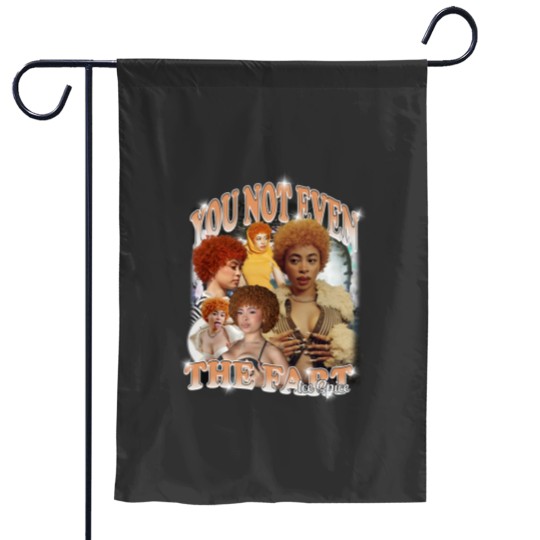 Discover Ice Spice, You Not Even The Fart, Gift Meme Funny Garden Flags