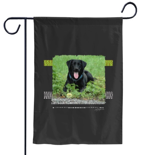 Discover Loki Black Labrador Garden Flags