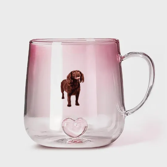 Discover Boykin Spaniel Gradient Glass Mugs Gradient Glass Mugs
