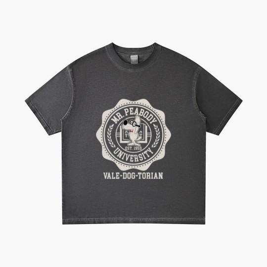 Discover Mr Peabody And Sherman Gradient T Shirts