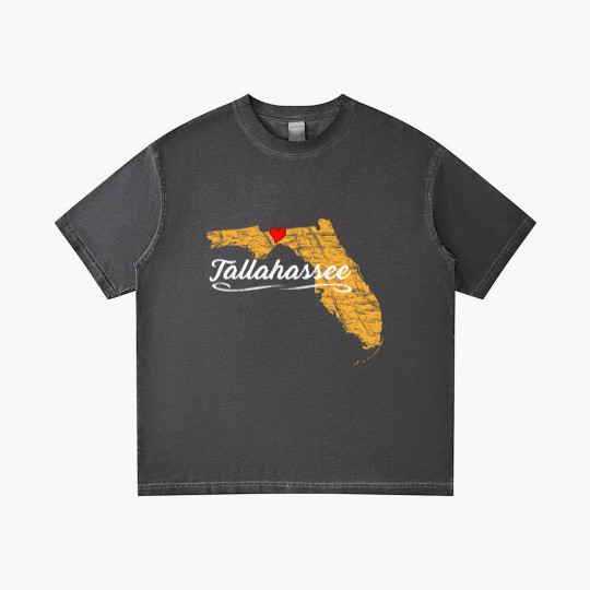 Discover City of Tallahassee Florida | Vacation Souvenir - Graphic Gradient T Shirts