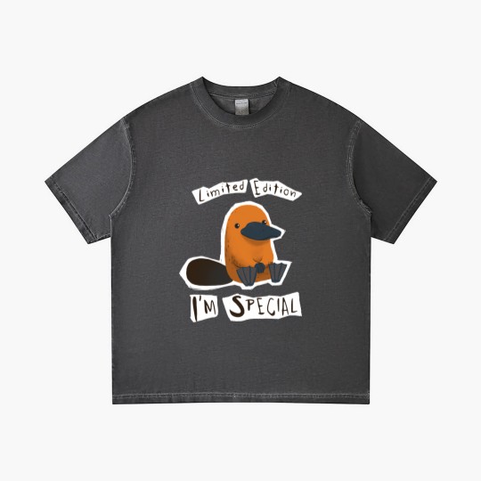 Discover  - I'm Special Platypus - Cute Weird Animal - Platypus - Gradient T Shirts