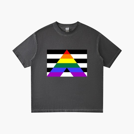 Discover Straight Ally Pride Flag  Essential Gradient T Shirts